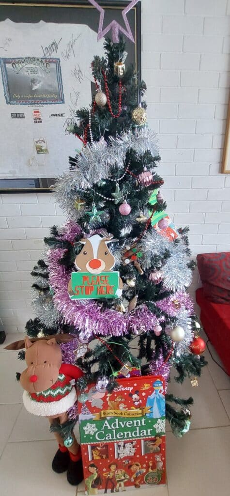Christmas tree dad and i put up